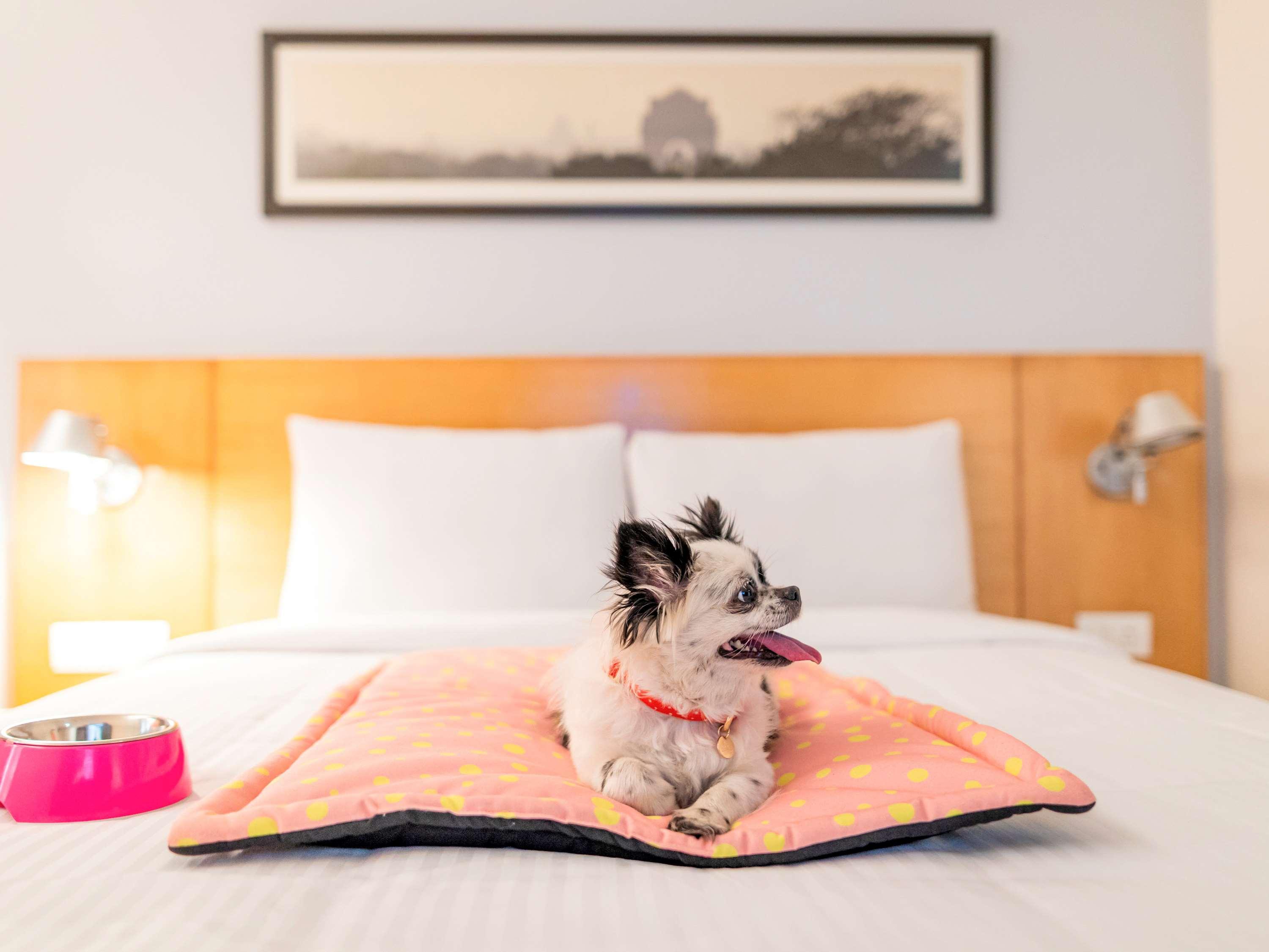 Ibis Jaipur City Centre - An Accor Brand מראה חיצוני תמונה
