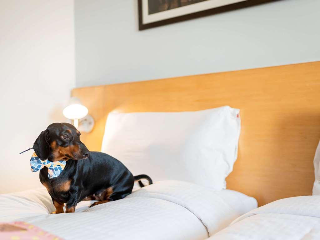 Ibis Jaipur City Centre - An Accor Brand חדר תמונה